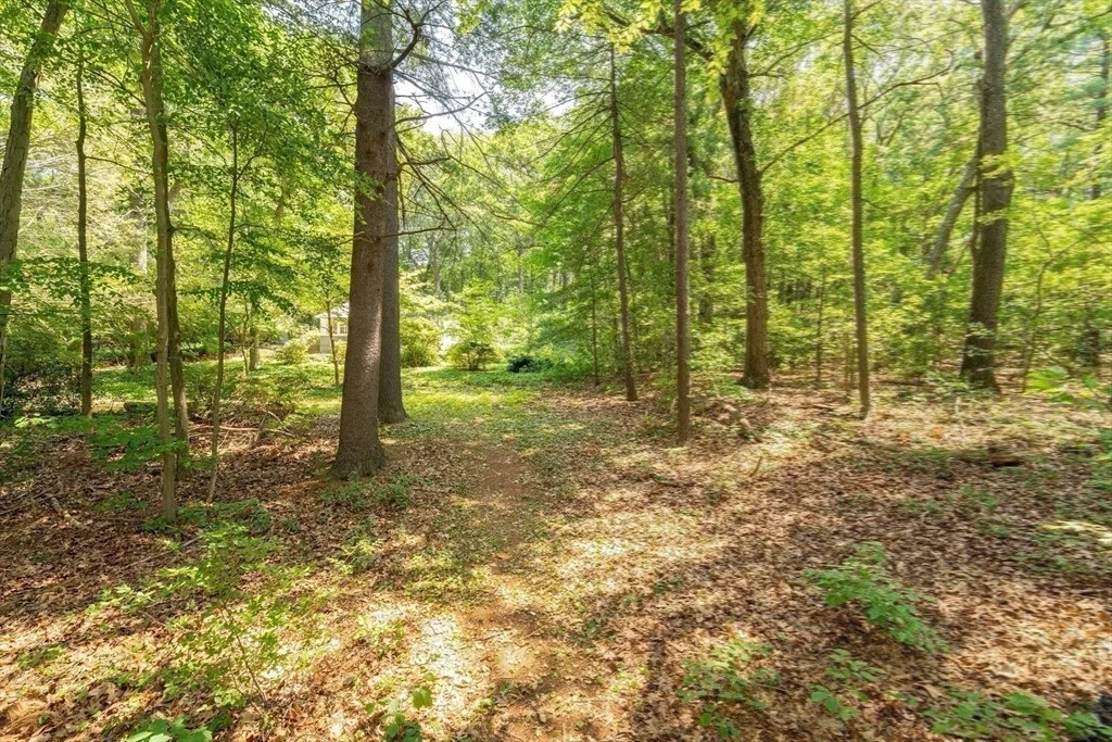 Photo of 6 Megonko Rd