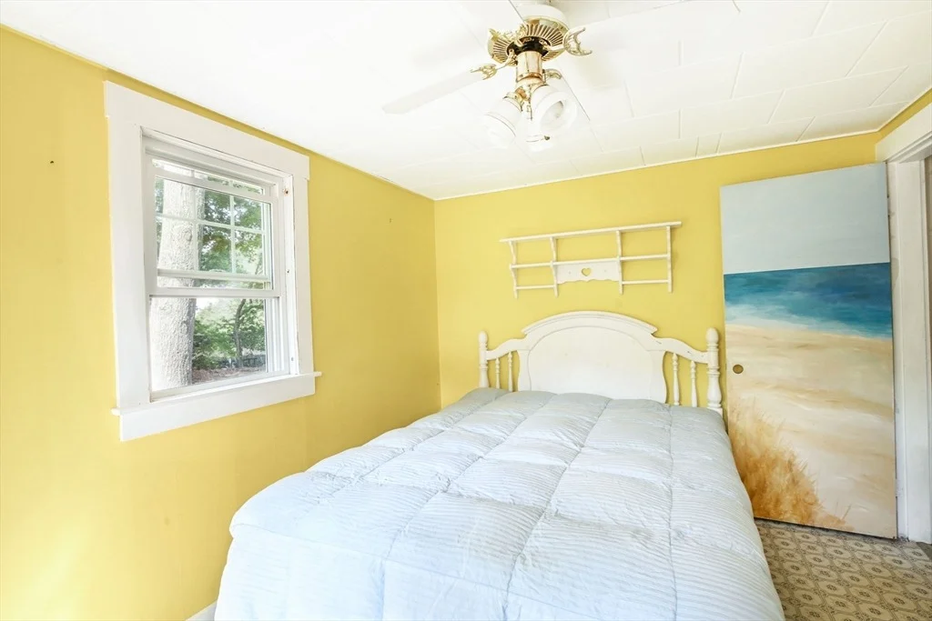 Photo of 7 Freeman St