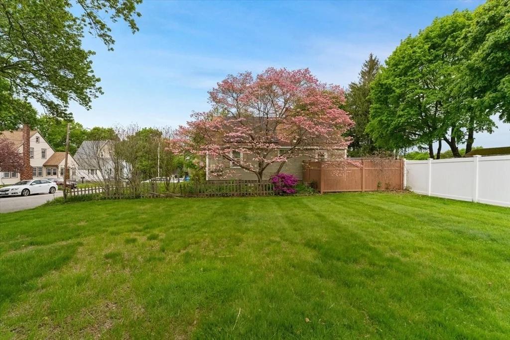 Photo of 15 Steele St