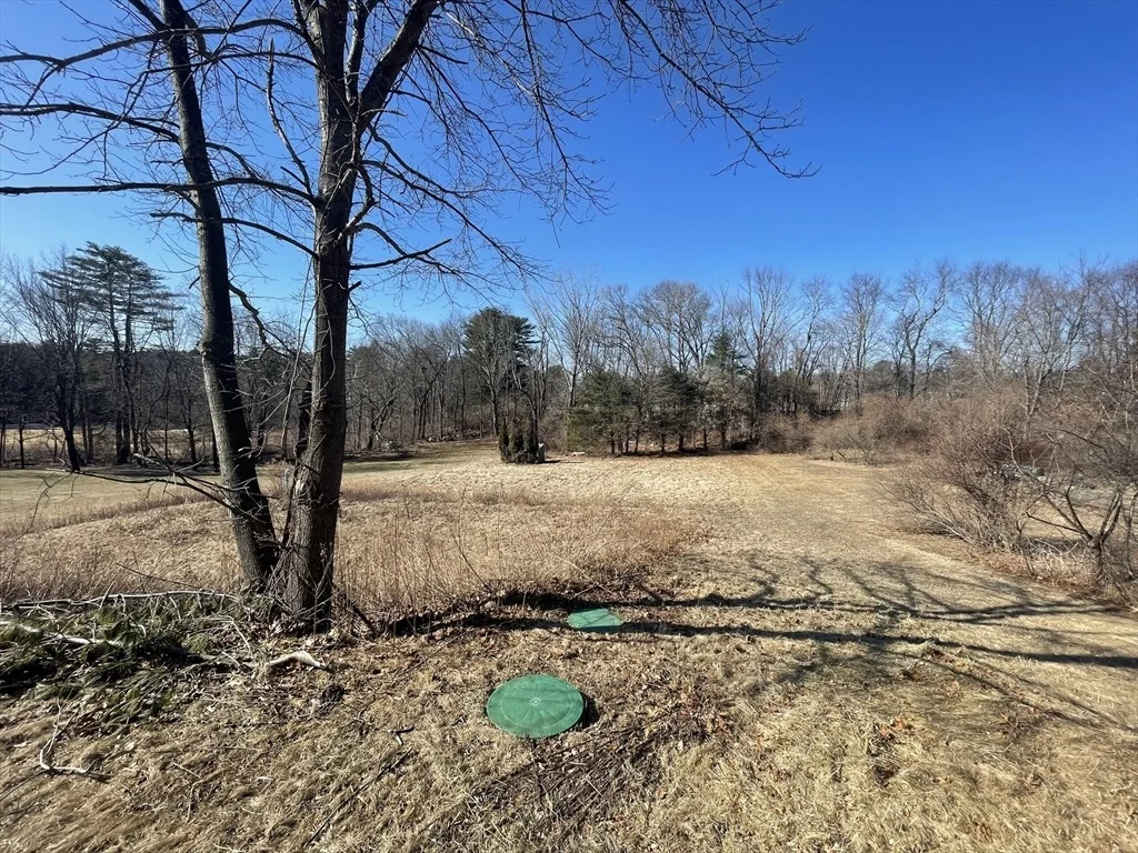 Photo of 35 Ellis Rd