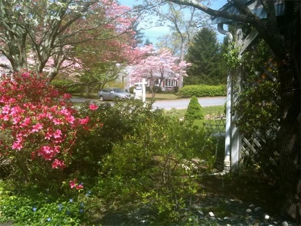 Photo of 11 Bay Path