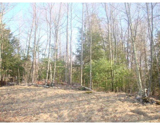 Photo of 21 Turtleback Road