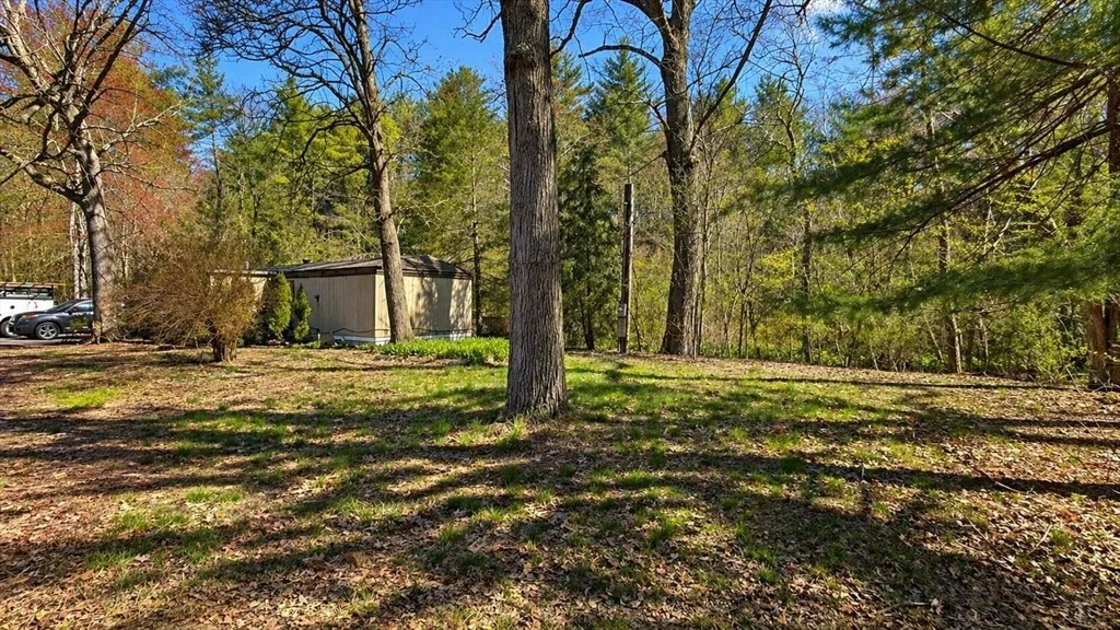 Photo of 35 Patterson Road