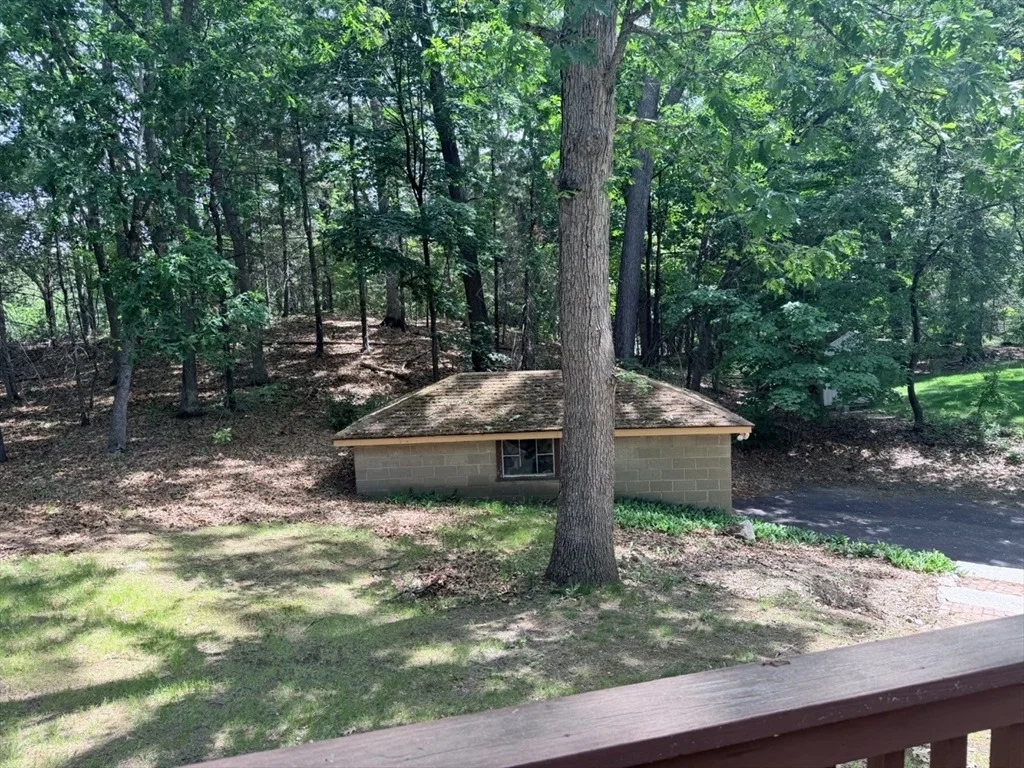 Photo of 8 Molloy Rd