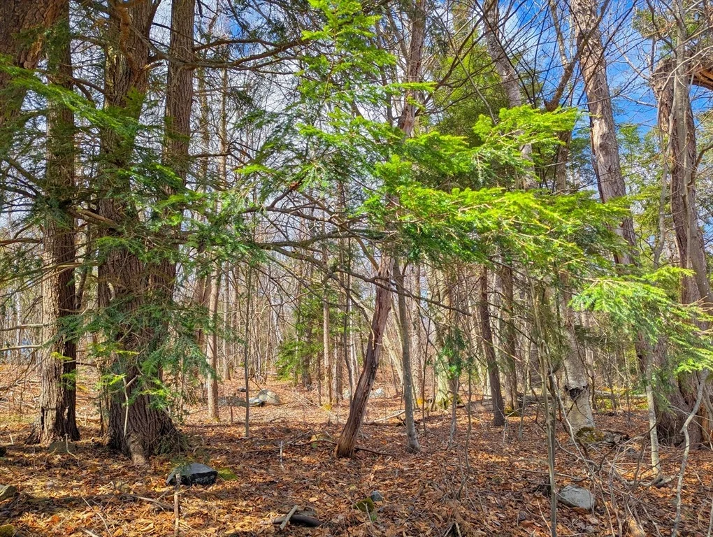 Photo of 0 Johnson Rd