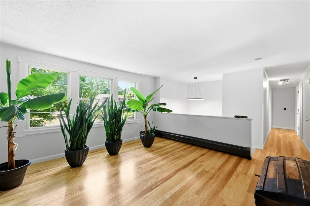 Photo of 23 Phelps St