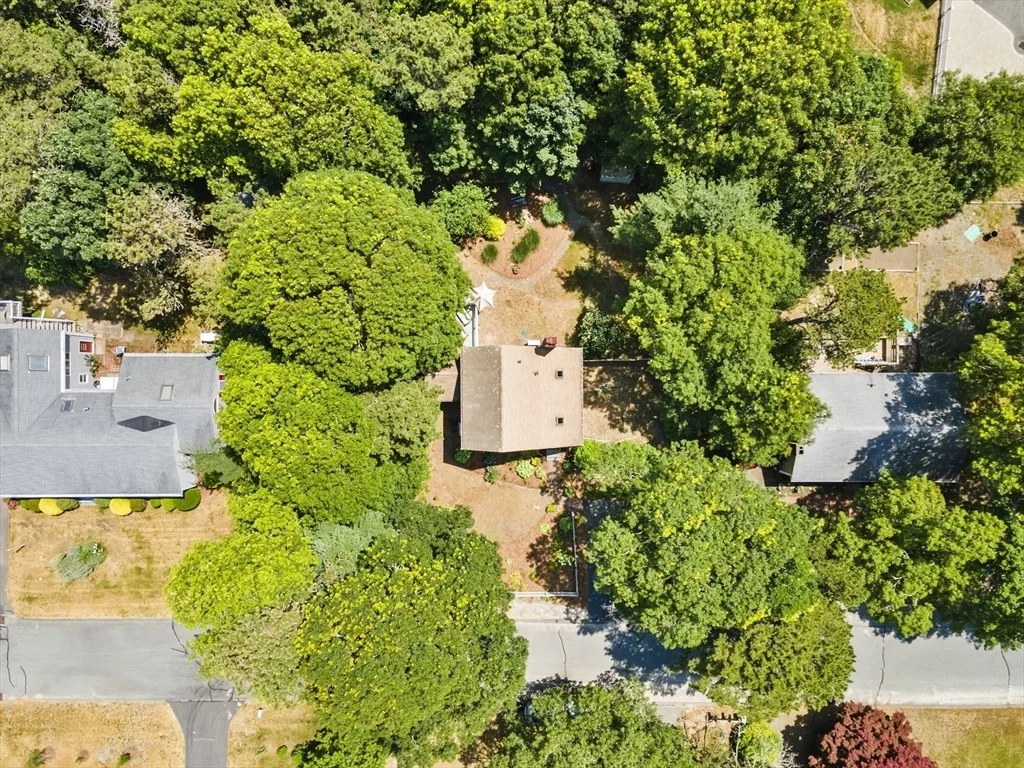 Photo of 10 Devonshire Lane
