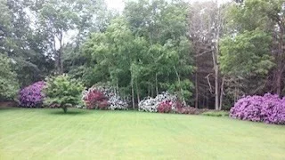 Photo of 292 Ware Rd