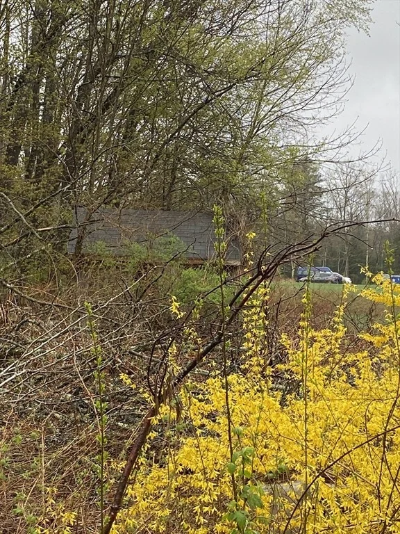 Photo of 150 Athol Rd