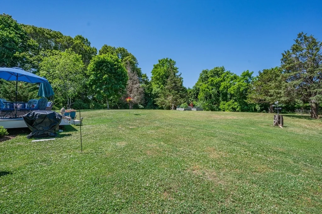 Photo of 367 Plum
