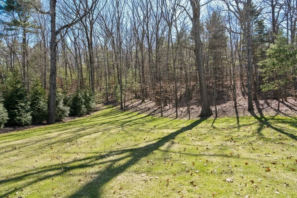 Photo of 196 Pond Road