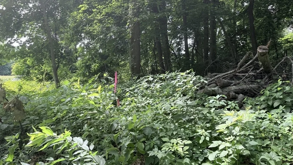 Photo of 0 Anthony Rd