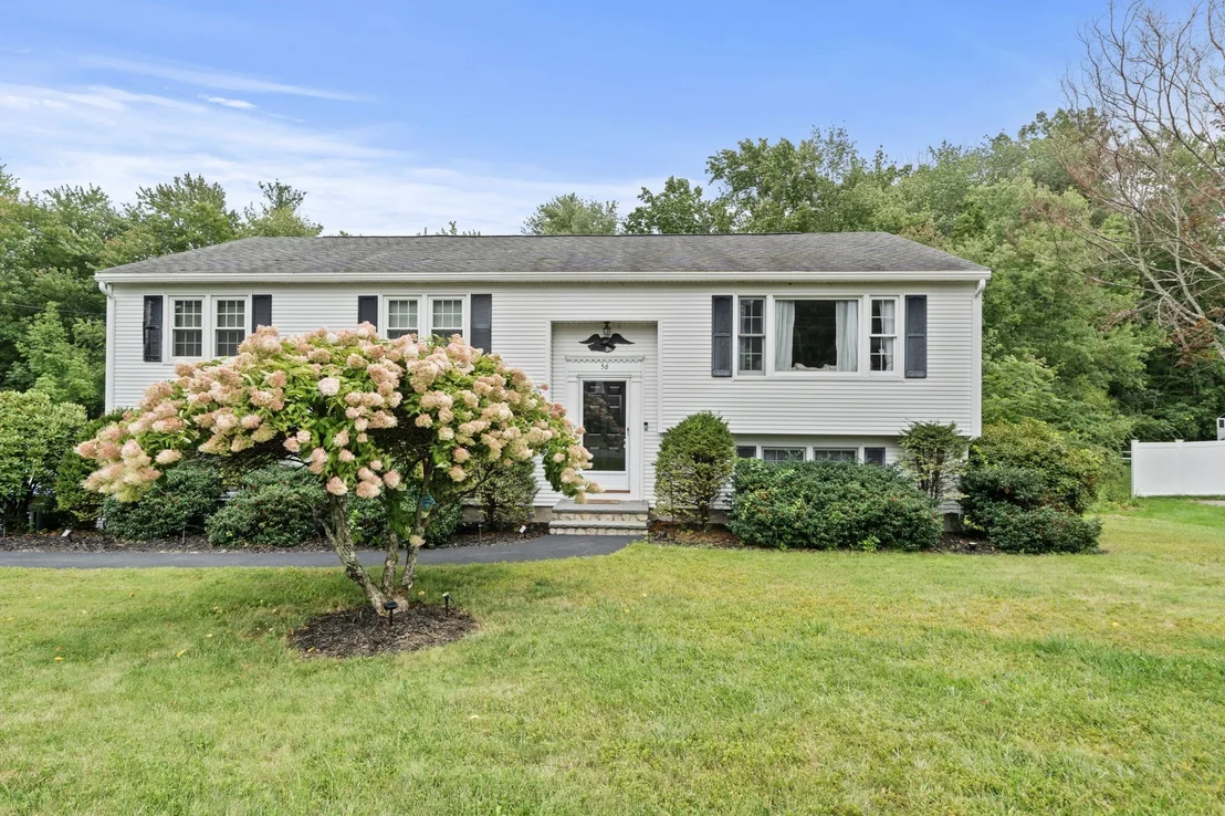 Photo of 56 Sycamore Rd