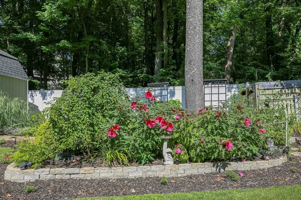 Photo of 79 Avery Rd