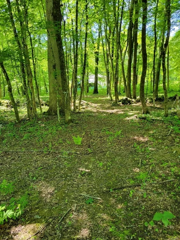 Photo of Lot 7 Daniels Rd