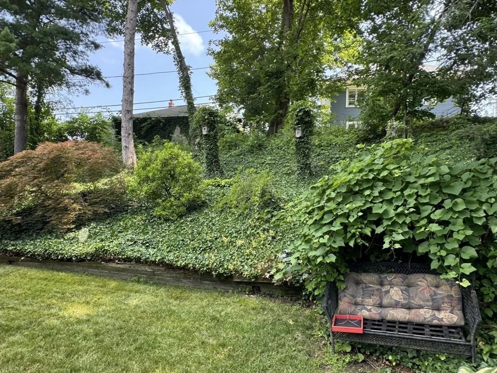 Photo of 17 Maplewood Rd
