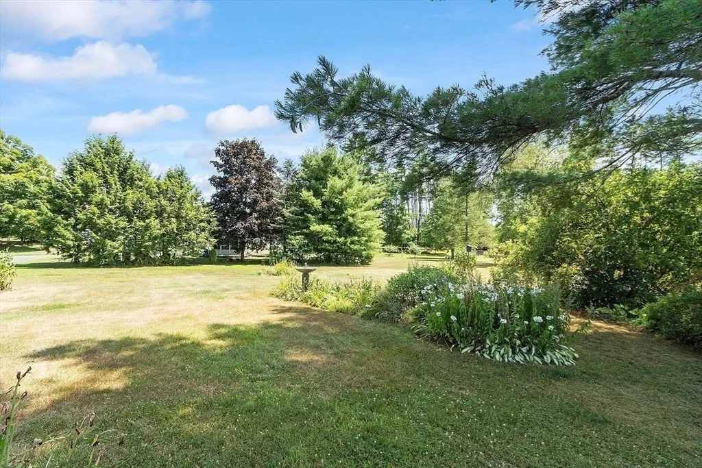 Photo of 31 Pinedale Rd