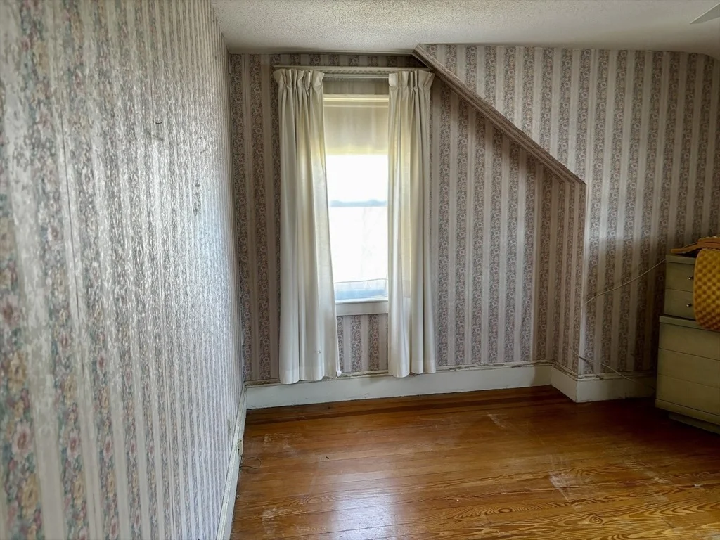 Photo of 91 Daviston St