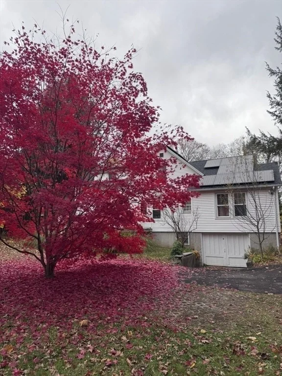 Photo of 35 Taylor Street