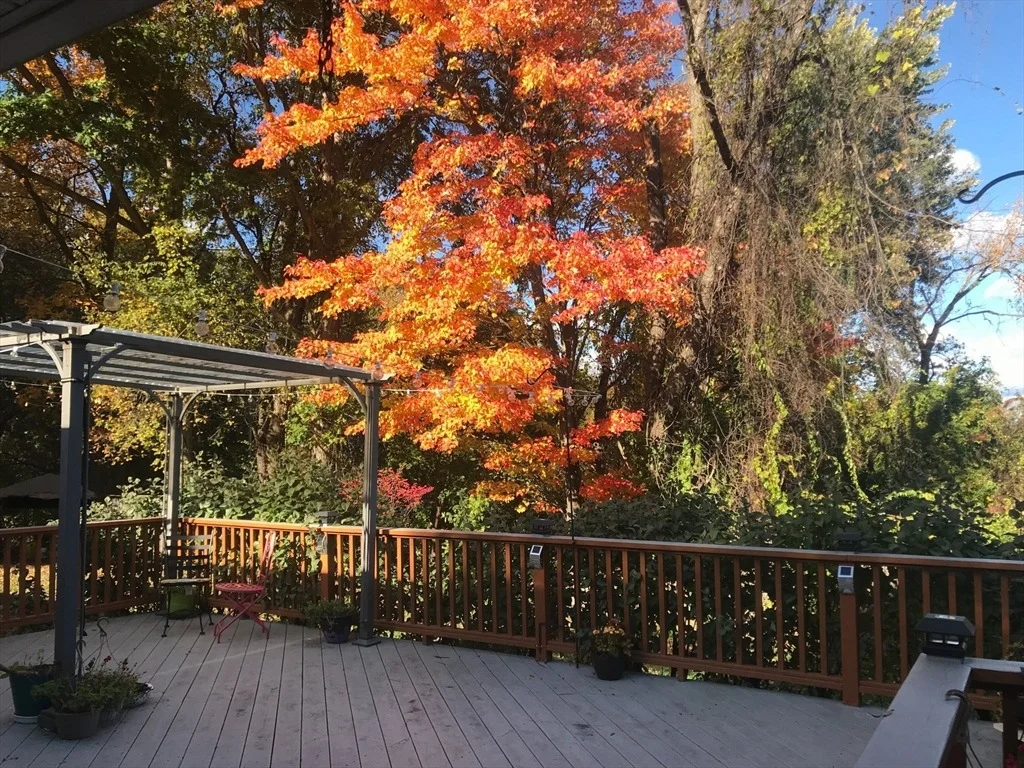 Photo of 21 Trinity Ave