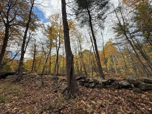 Photo of 151 Wilker Road
