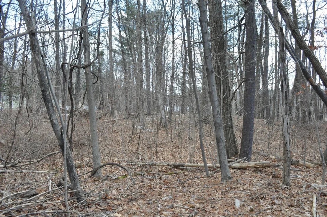 Photo of 1010 Ryan Rd