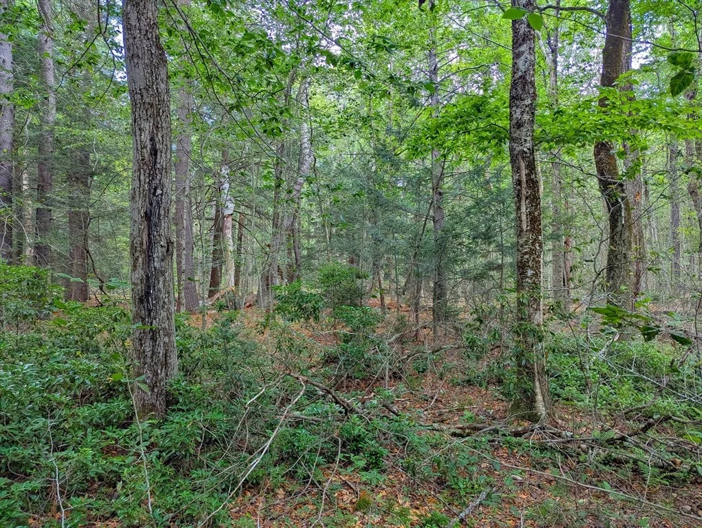 Photo of 0 Hamilton Rd
