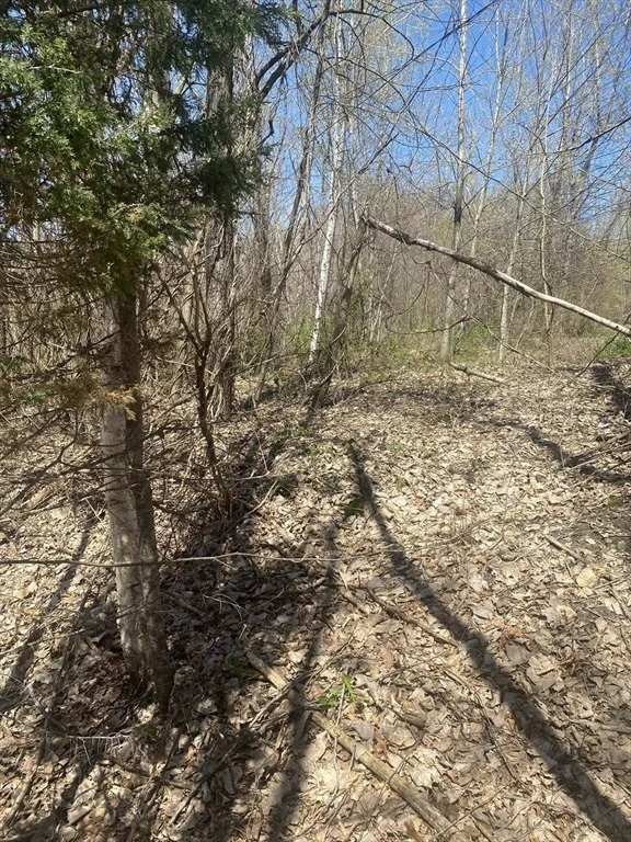 Photo of 117 Munsing Ridge