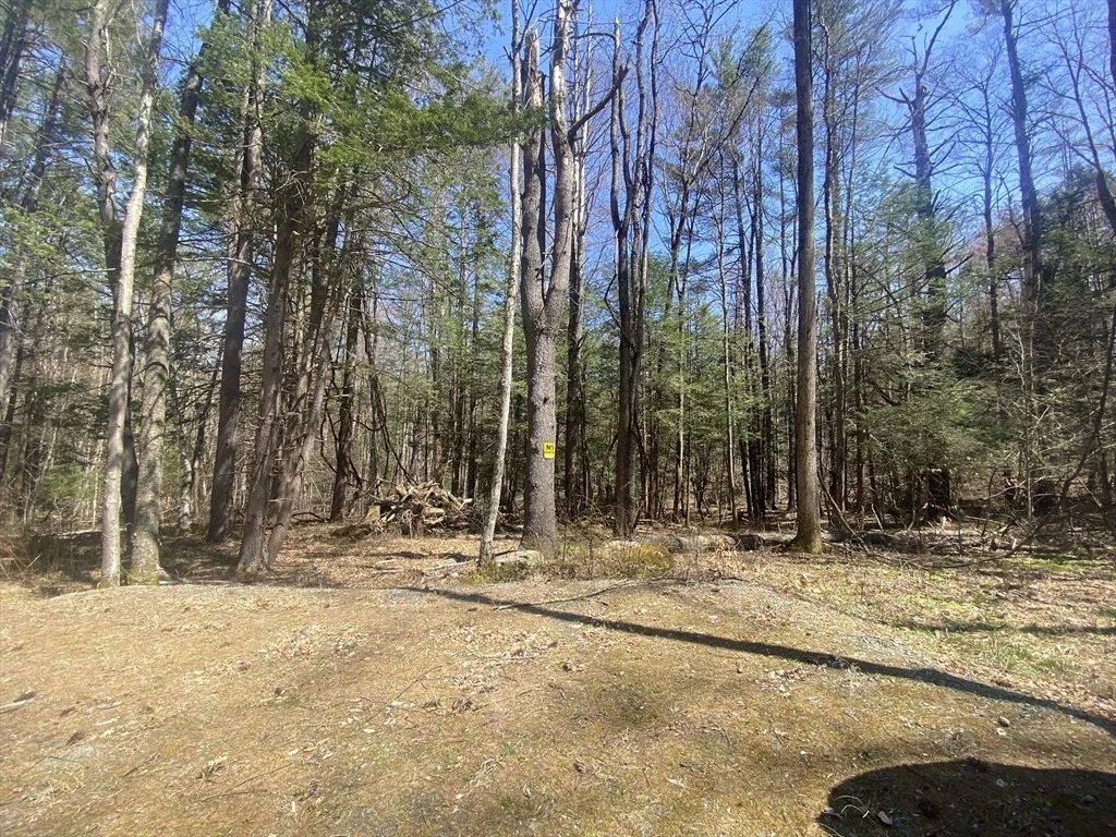 Photo of 0 Schaefer Way