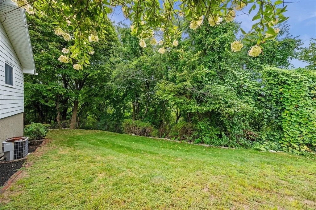 Photo of 11 Mooney Rd