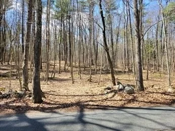 Photo of Lot 2 Daniels Road