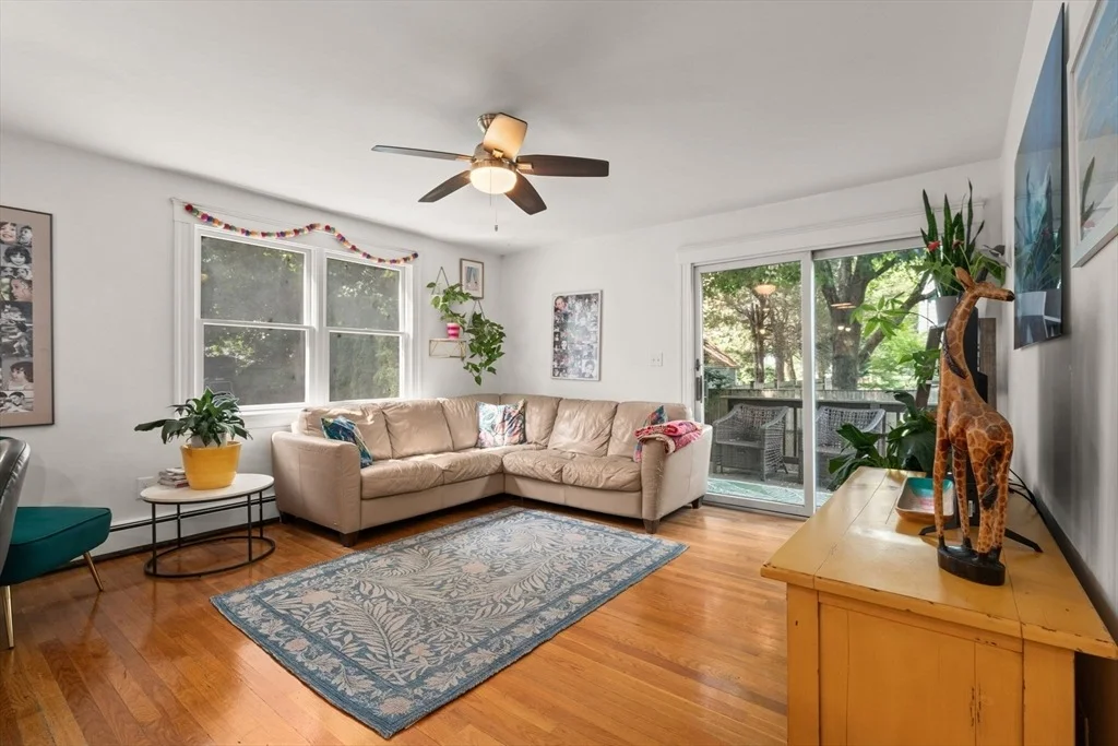 Photo of 24 Holland St