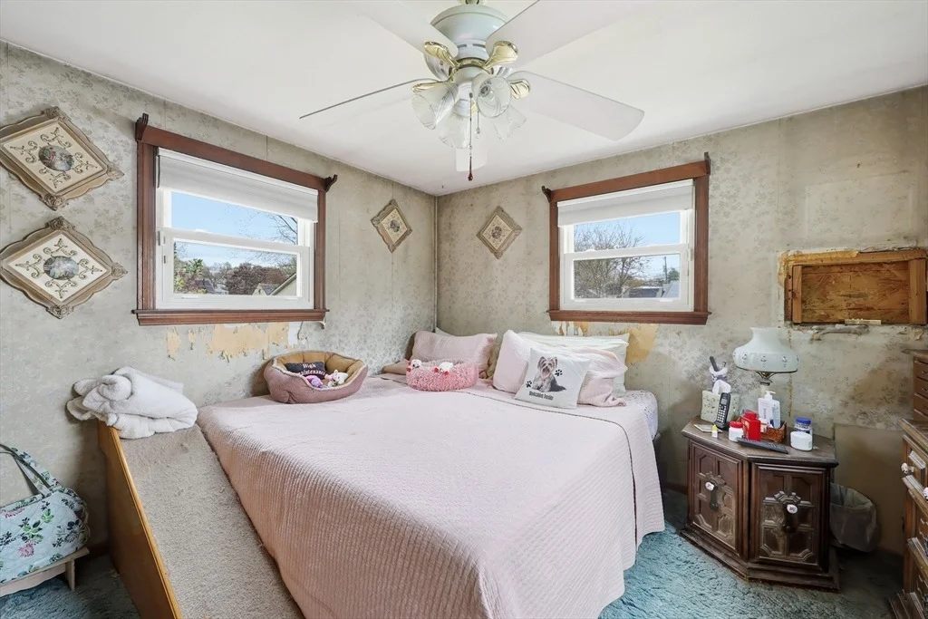 Photo of 11 Judith St