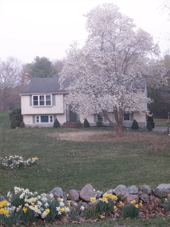 Photo of 33 Myrtle St