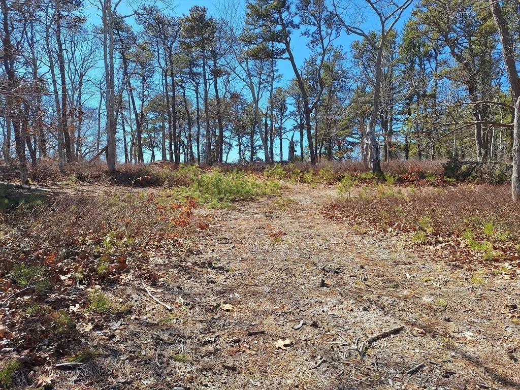 Photo of 37 Oak Valley Rd