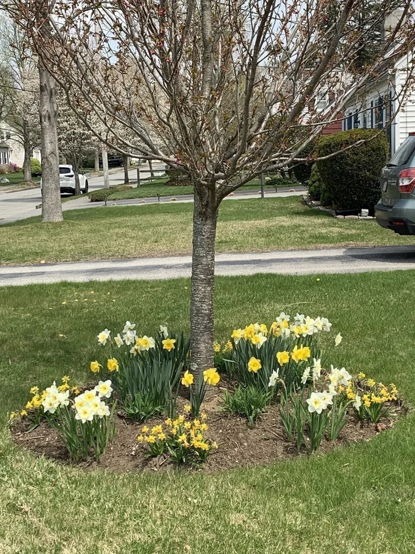Photo of 27 Mayflower Circle