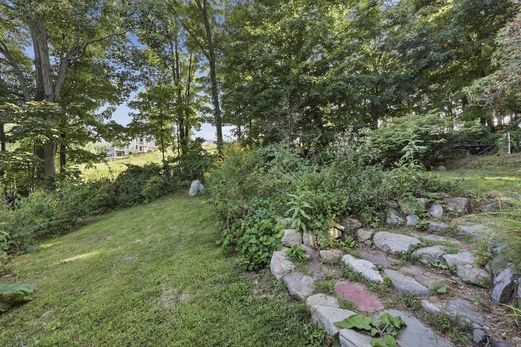 Photo of 79 Waverly Rd