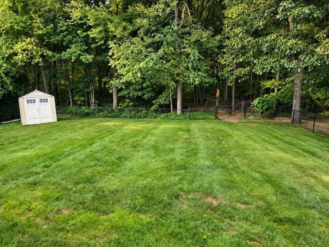 Photo of 36 Ludlow Road