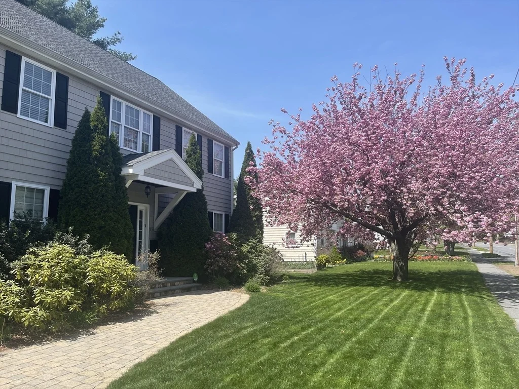 Photo of 77 Cedar Street
