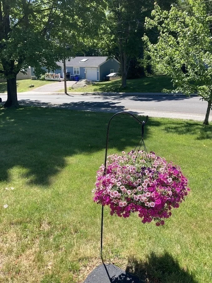 Photo of 132 Milton Rd