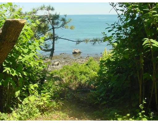 Photo of 105 Gilson Road
