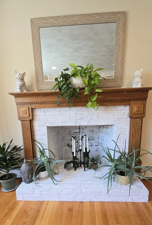 Photo of 49 Hamilton Rd