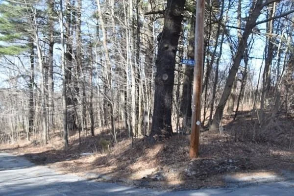 Photo of 14 Montclair Dr