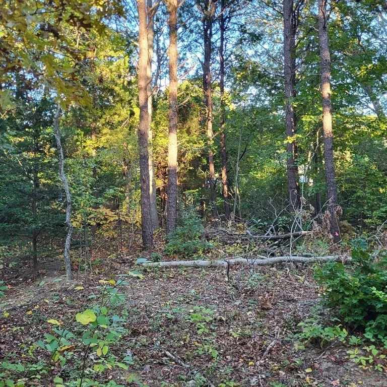 Photo of 10 Tecumseh Road