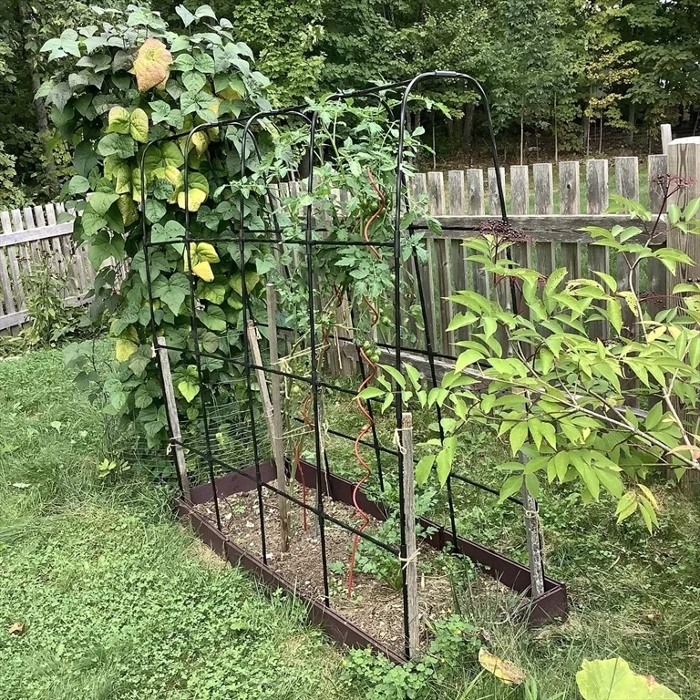 Photo of 13 Birch Drive