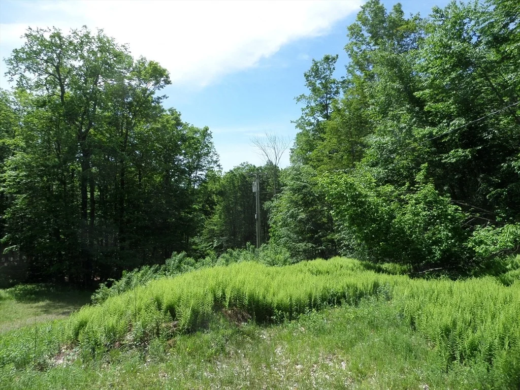 Photo of 255 Sam Hill Rd