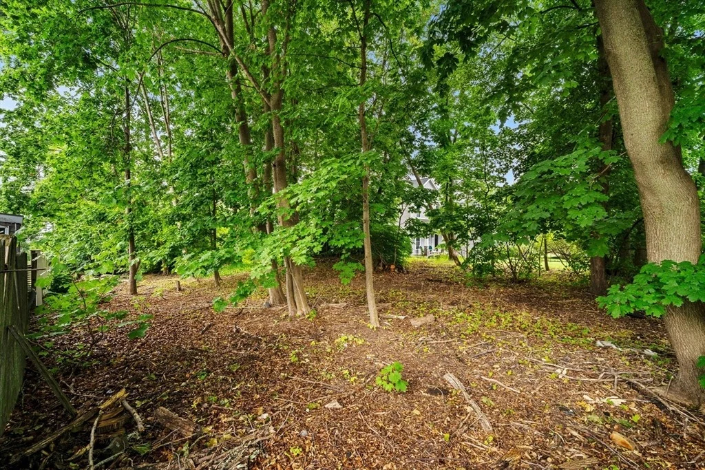 Photo of 239 Nahant Road