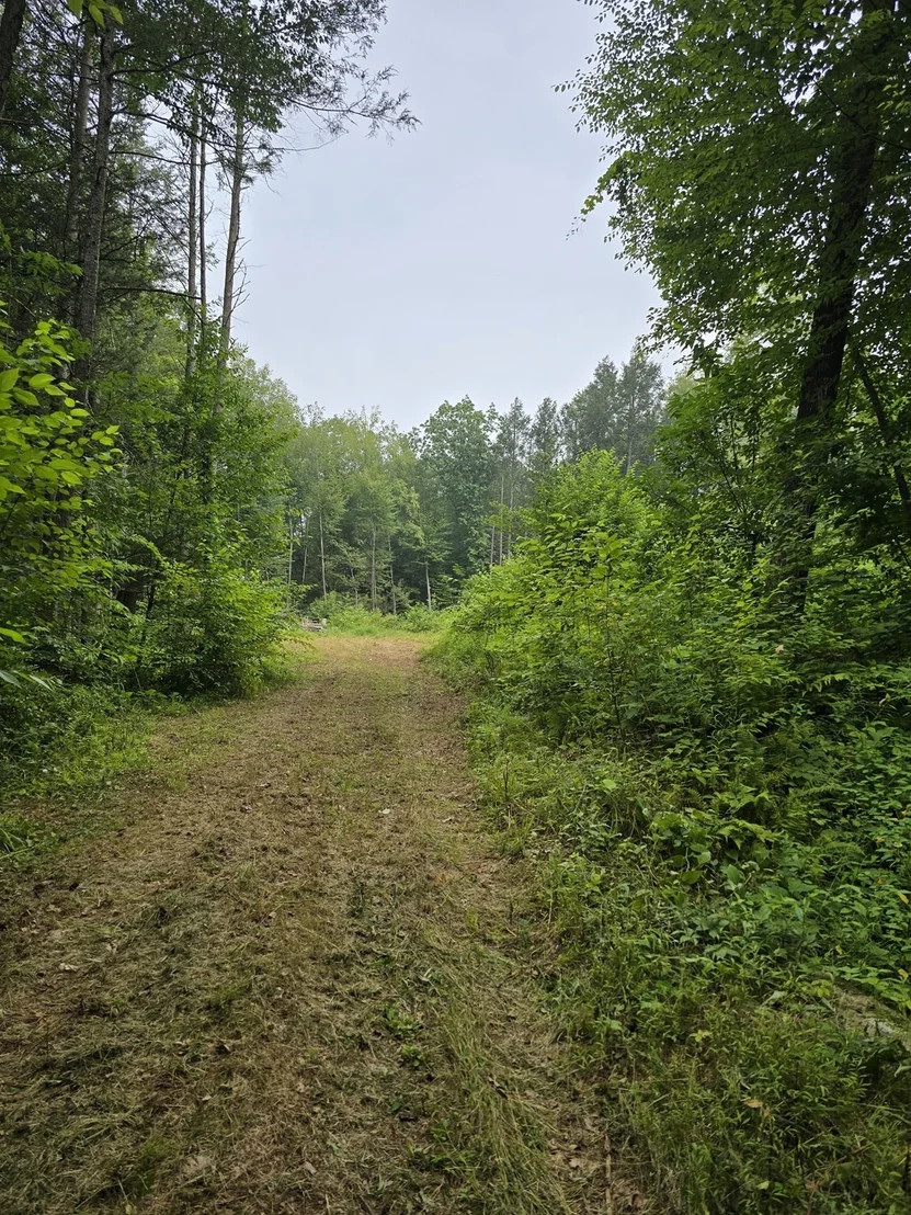 Photo of 38 County Road