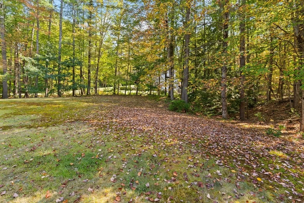 Photo of 31 Shirley Rd