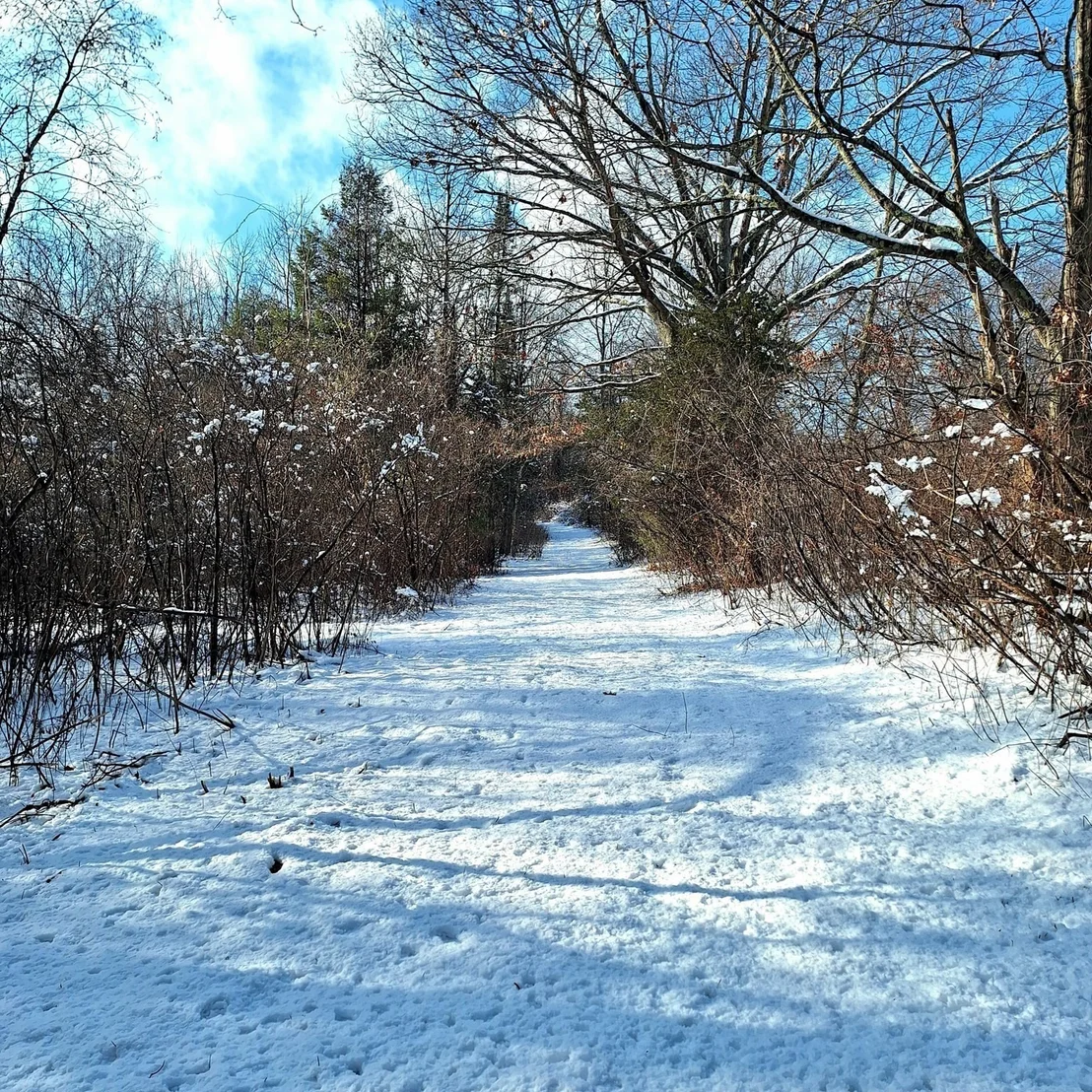 Photo of Lot 4 Mountain Rd